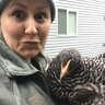 HangryHen
