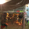 Jerry rigged farm