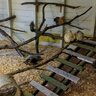 Tillowacres