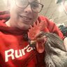 RuralKing_Chicken_Chick
