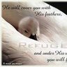 Under His Wing