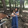 DaydreamFarms