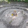 weakcircus