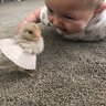 TaylorChickadoodleFam