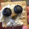 BurnsleeBirds