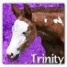 Trinity3205