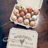 GoldenEggFarmstead