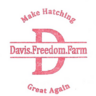 Davis Freedom Farm