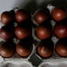 darkbrowneggs