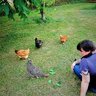 F_Street_Flock