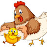 Chick-mom