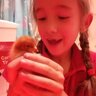 herechickiechick