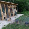 Birdchicken