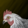 MagicChickenMama