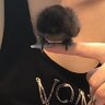Nicci69