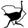 Southcarolinaostrich