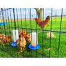 NatsBarnyard