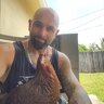 ChickenManAnt