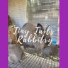 Tiny Tails Rabbitry 101