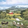 Homesteadmomma81