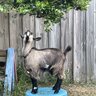 OutHouse Farms