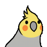 Nicks_Chicks