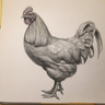 jezfarm