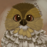 quails4lyfe