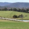 LoneOakHomestead