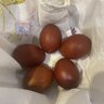 Manchester Marans