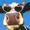 citygal/countrygalRN