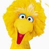 BigBird 2025