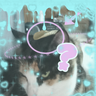 catfood3