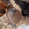 WimberlyRoost