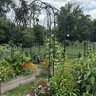 littlegardenhomestead