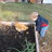 girls and guineas