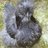 socialsilkie