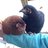 sillychickens13