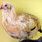 ChickenGirlie