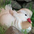 DuckLover3