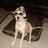 celiza9