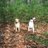 ilovemydogs