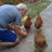 Chicken Fryde