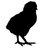 brownduck