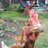 LucyG
