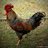 gldphoto