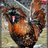 capechicken5000
