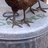 chickababas