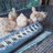 Chicken fingers