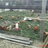 Flowerpot2424